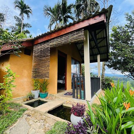 Rainforest Nature House دينيايا المظهر الخارجي الصورة