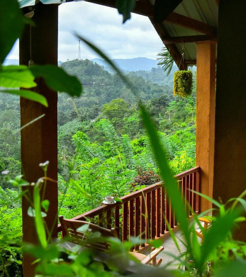Rainforest Nature House دينيايا المظهر الخارجي الصورة