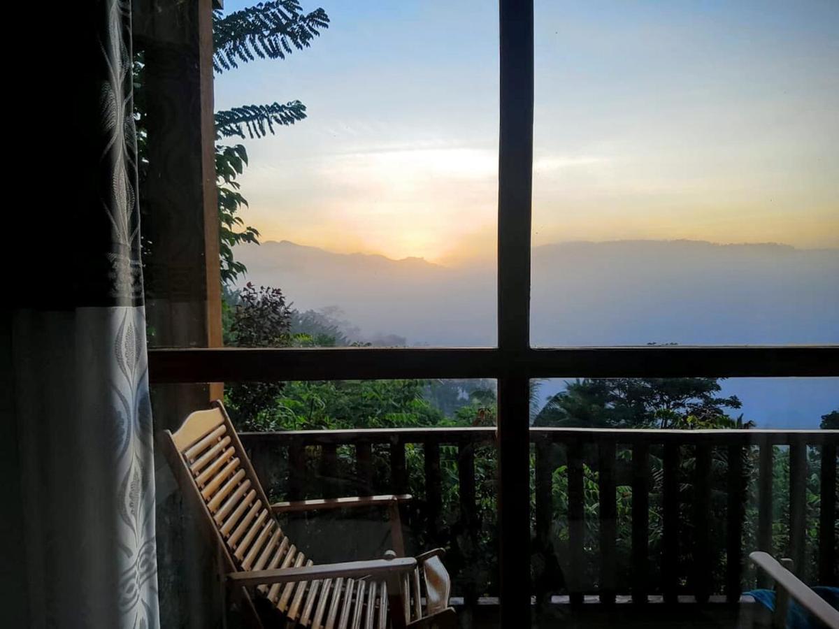 Rainforest Nature House دينيايا المظهر الخارجي الصورة