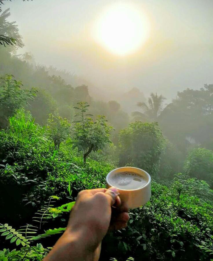 Rainforest Nature House دينيايا المظهر الخارجي الصورة
