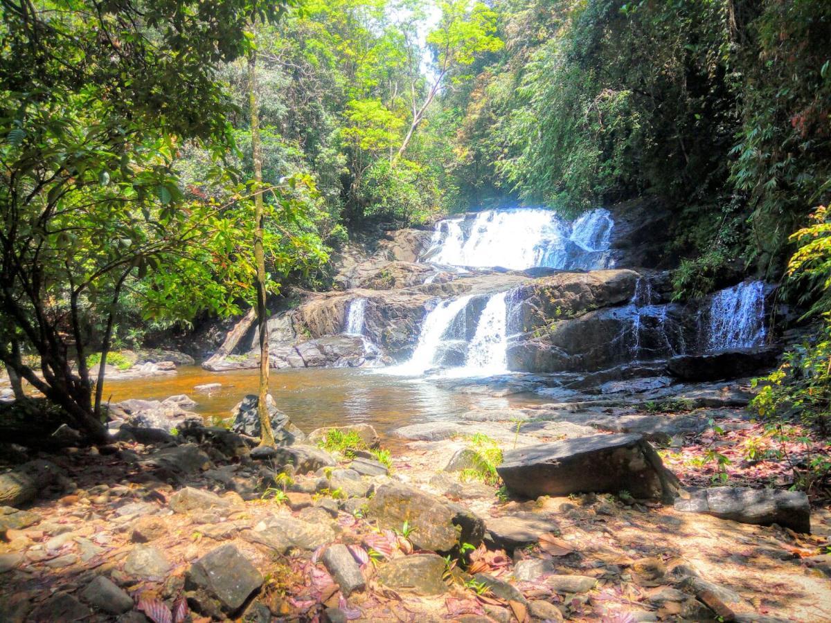 Rainforest Nature House دينيايا المظهر الخارجي الصورة