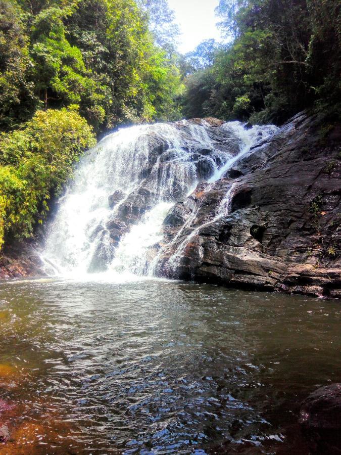 Rainforest Nature House دينيايا المظهر الخارجي الصورة