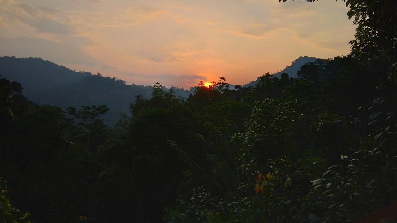 Rainforest Nature House دينيايا المظهر الخارجي الصورة
