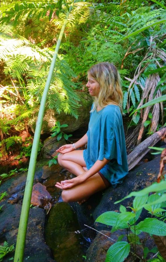 Rainforest Nature House دينيايا المظهر الخارجي الصورة