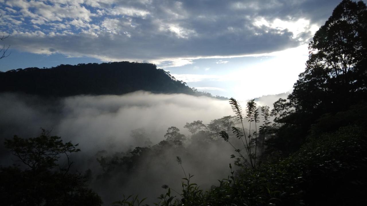 Rainforest Nature House دينيايا المظهر الخارجي الصورة