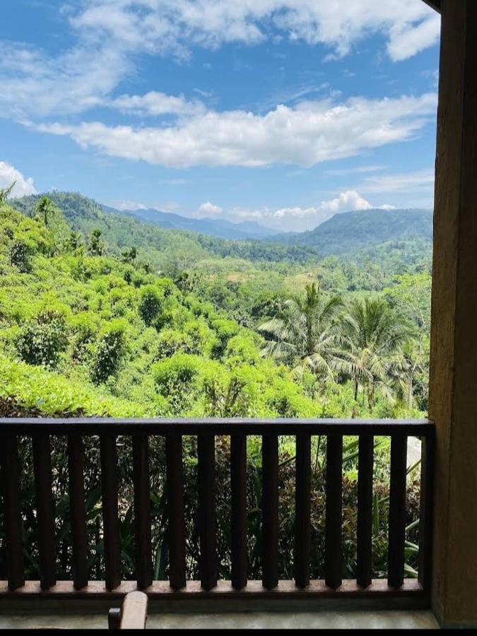 Rainforest Nature House دينيايا المظهر الخارجي الصورة