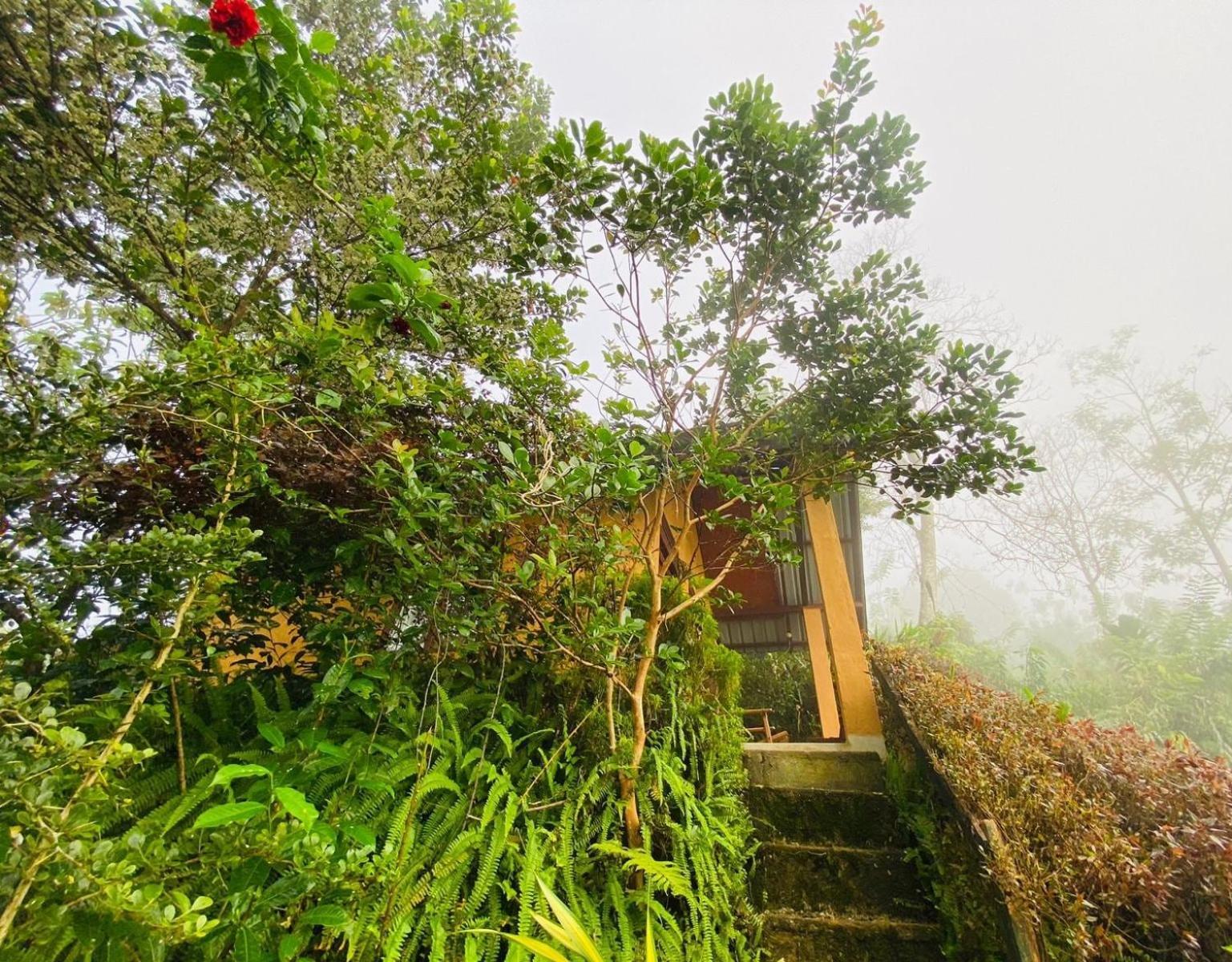 Rainforest Nature House دينيايا الغرفة الصورة