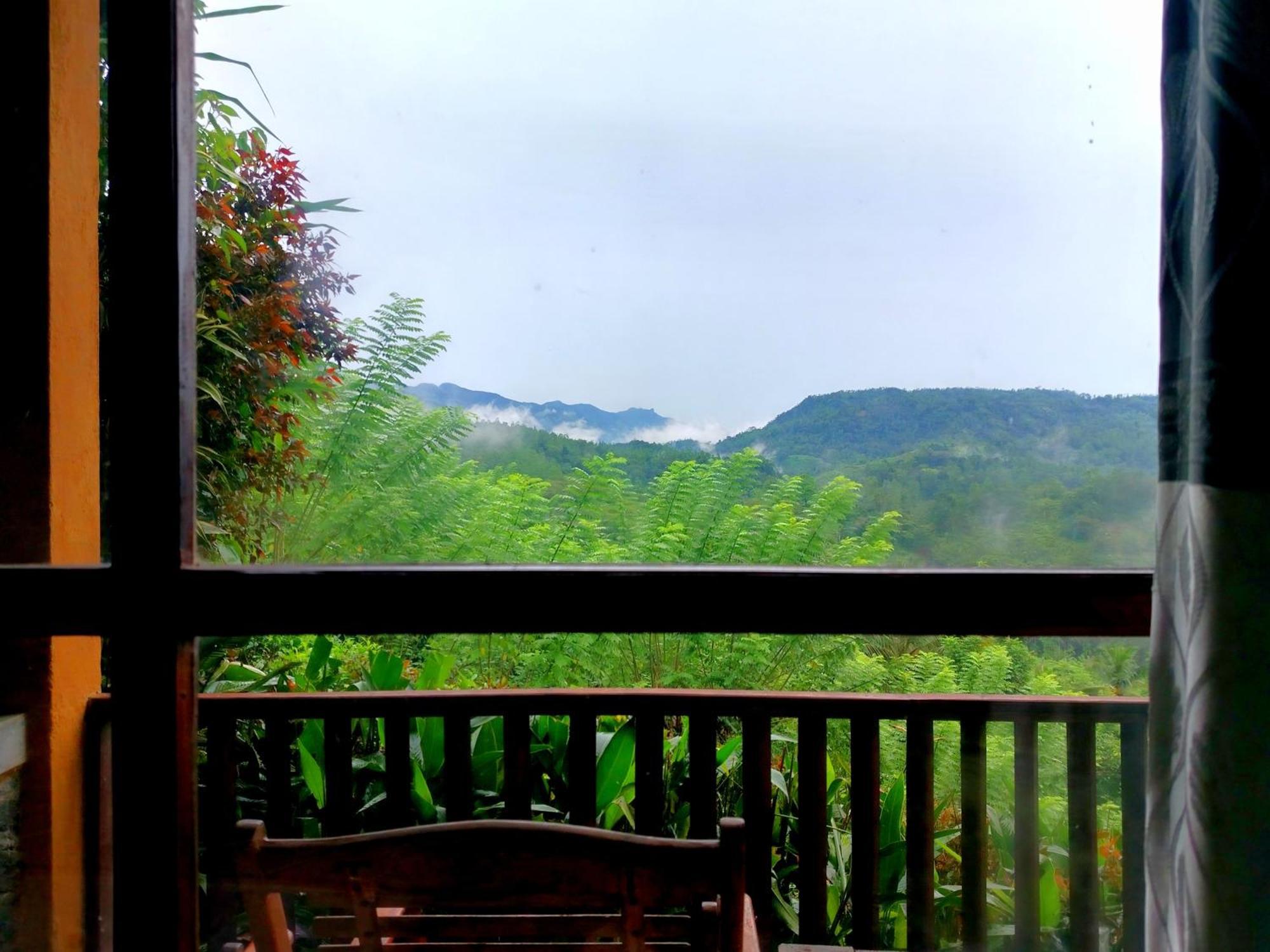 Rainforest Nature House دينيايا الغرفة الصورة